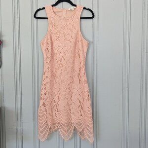 Francesca's Lacey Pink Dress